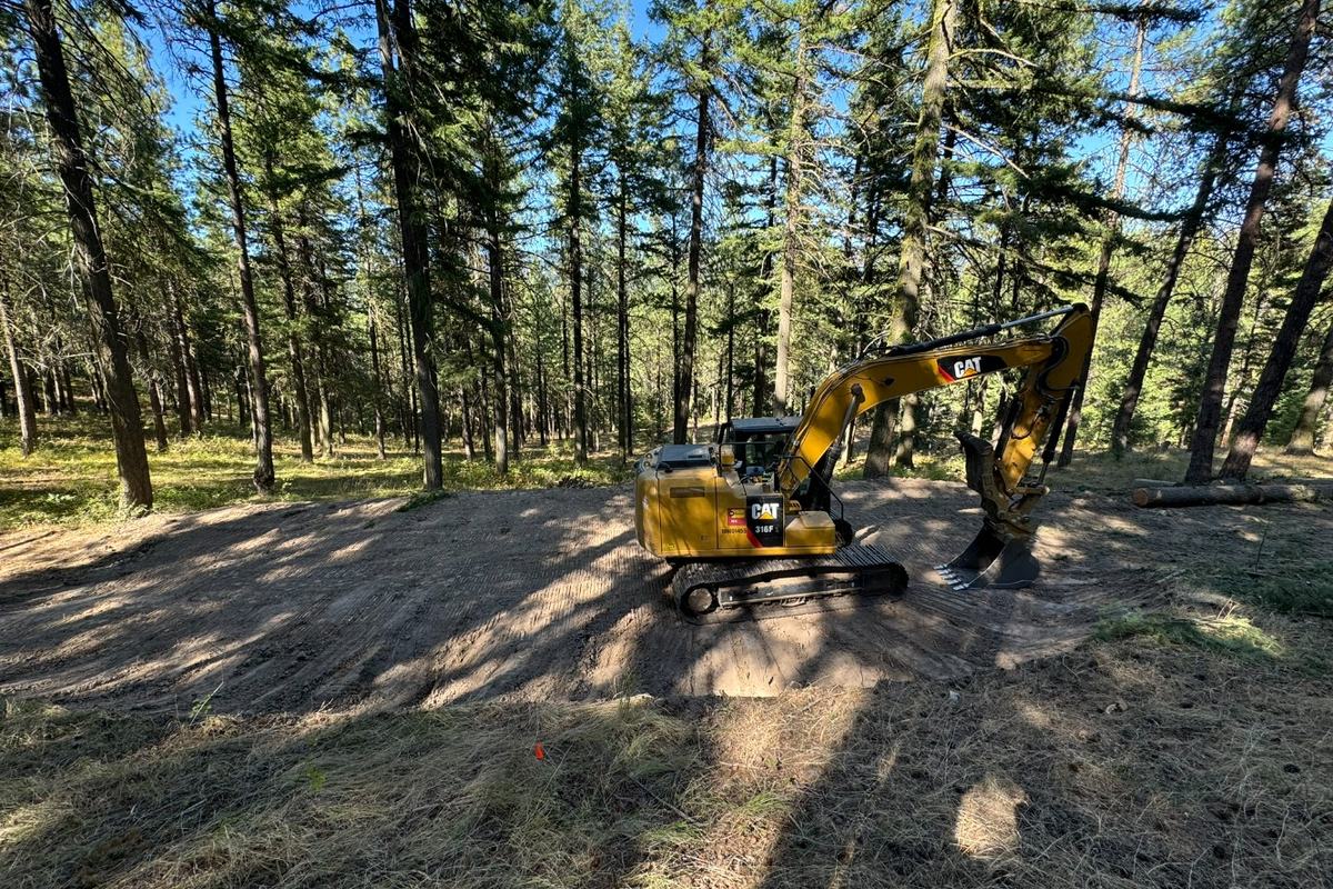 Excavator clearing a forested lot